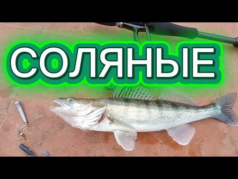 Видео: ГДЕ КРУПНЫЙ СУДАК?Поиск хищника на #ИНГУЛЕ конец октября#СОЛЯНЫЕ - #НИКОЛАЕВ