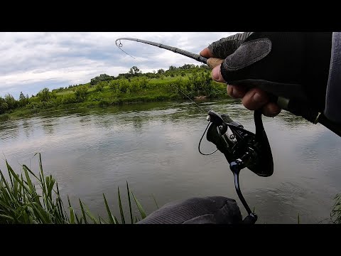 Видео: ЖЕРЕХ ДУРЕЕТ от ЭТИХ ПРИМАНОК и ВЫПРЫГИВАЕТ за НИМИ из ВОДЫ!!!  РЫБАЛКА на КРАСИВОЙ реке ПЬЯНА!!!