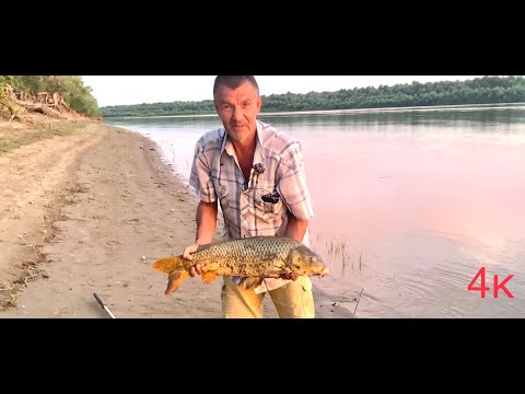 Видео: Рыбалка на закидушки с макухой. Ахтуба 2022.