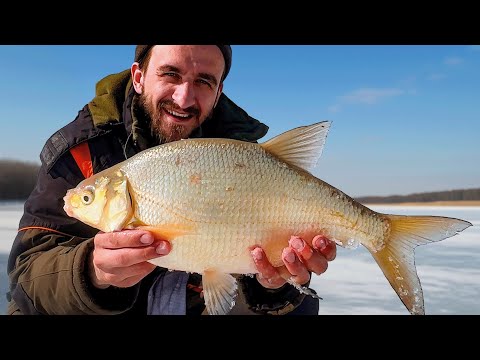 Видео: ЛЕЩИ - ЛОПАТЫ ОДИН ЗА ОДНИМ!!! КОМБАЙНЫ УСТАЛИ ЛОВИТЬ!!! РЫБАЛКА МЕЧТЫ!