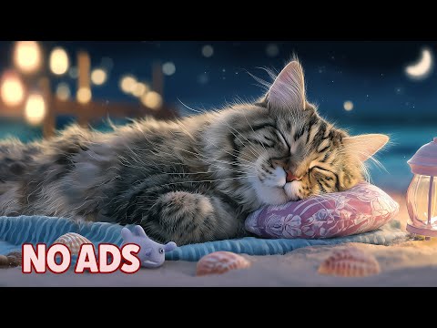 Видео: 12 Часов Успокаивающая Музыка для Кошек 🐾 Кошачье ТВ 💤 Мягкое Снотворное для Тревожных Кошек