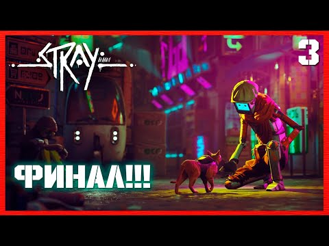 Видео: ФИНАЛ!! ГРУСТНЫЙ КОНЕЦ ► ПРОХОЖДЕНИЕ Stray ► СТРИМ #3