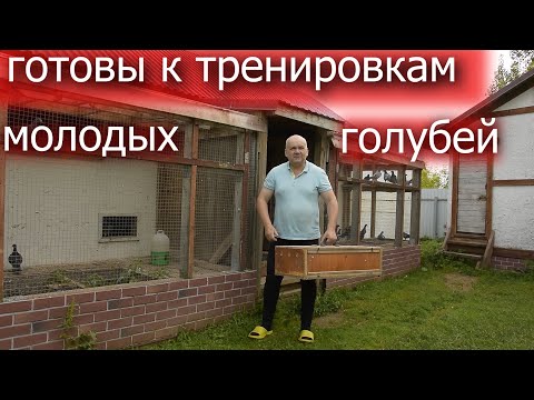 Видео: Последние голуби этого сезона 2025 года. Начинаем подготовку к тренировкам.