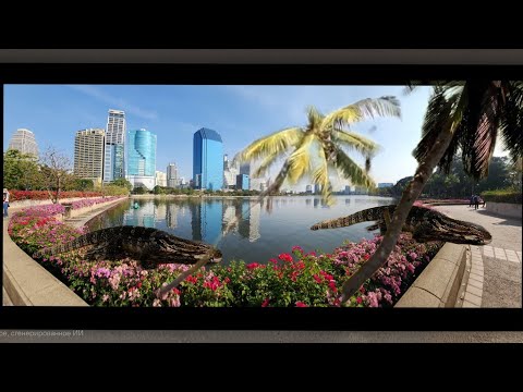 Видео: Вараны и небоскребы: Прогулка по паркам Бангкока | Лумпини и Бенджакитти