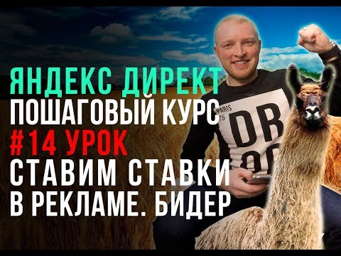 Видео: #14. Бидер Елама. Ставим ставки в Elama. Контекстная реклама в Яндекс Директ. Курс Директ.