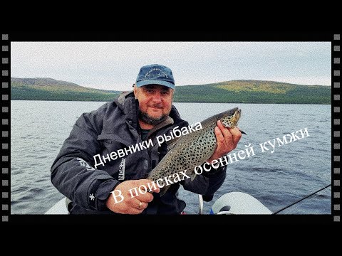 Видео: Дневники рыбака. В поисках осенней кумжи.