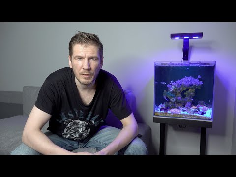 Видео: Морской аквариум  Что вас ждёт