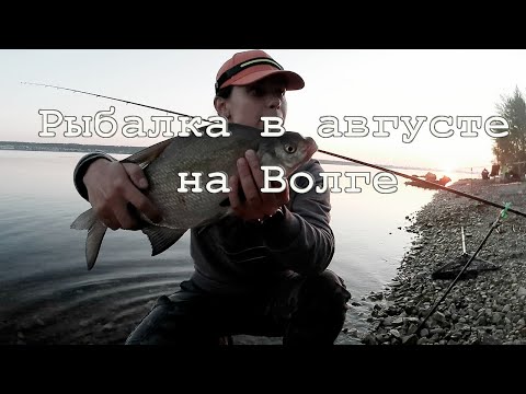 Видео: Рыбалка в конце августа