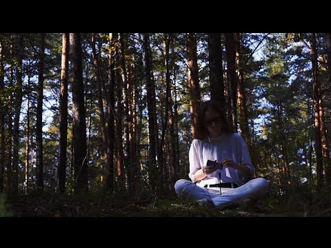 Видео: ASMR звуки леса и разных предметов