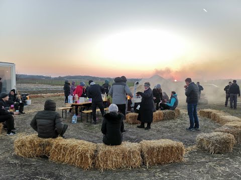 Видео: 🟣 Моба друга 🫐 ‼️