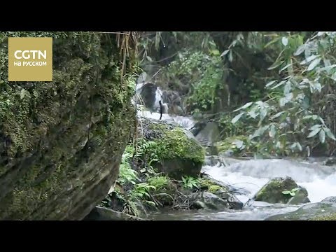 Видео: Документальные фильмы  Железная дорога Ичан-Ваньчжоу Серия 2[Age 0+]