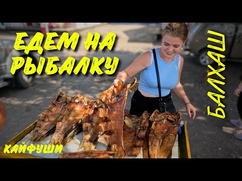 Видео: Едем к красивейшей косе Балхаша,