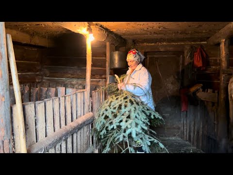 Видео: Життя бабусі в гірському селі взимку. Рецепт бабусі - вареники із бринзою