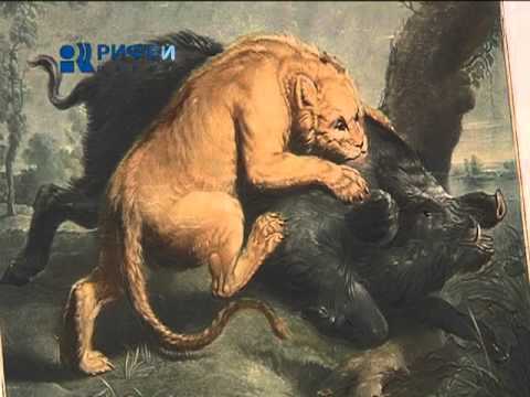 Видео: АНИМАЛИЗМ