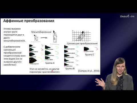 Видео: Шурупова Яна Андреевна - Теория эволюции - 10. Онтогенез и эволюция онтогенеза; коэволюция