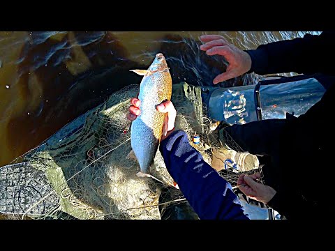 Видео: РЫБАЛКА СПЛАВНЫМИ СЕТЯМИ!!!! НАЛОВИЛИ ВКУСНОЙ РЫБЫ!!!