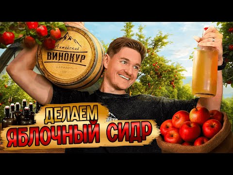 Видео: Наш первый яблочный сидр 🍎 Готовим с нуля в студии Алтайский Винокур