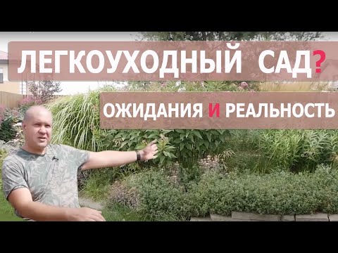 Видео: Как поживает ландшафтный сад дизайнера Виктора Тропченко спустя 4 года после создания