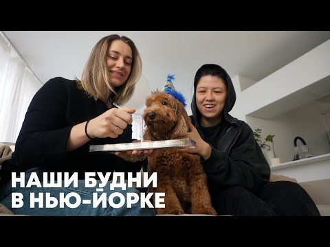 Видео: 164. МЕСЯЦ из жизни в НЬЮ-ЙОРКЕ: друзья, мероприятия, распаковки