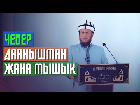 Видео: Садыбакас ажы Доолов. 19.08.2021. Кара-Суу району Алп-Ордо айылы. Тема: Чебер даанышман жана мышык.