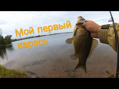 Видео: Большой карась на спиннинг. Микроджиг
