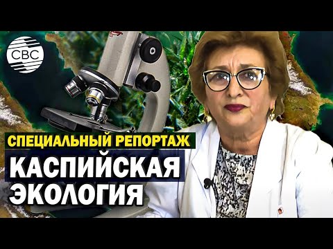 Видео: Каспийская экология: Биокультиваторы водорослей как средство борьбы с изменением климата