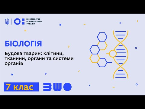 Видео: 7 клас. Біологія. Будова тварин: клітини, тканини, органи та системи органів. Частина 2