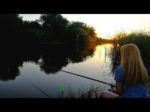 Видео: Рыбалка на поплавок ДОБАВИЛ ЭТИХ ОРЕХОВ И У РЫБЫ СРАЗУ НАЧАЛСЯ КЛЕВ