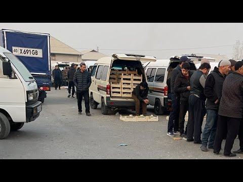 Видео: ХУСАЙНИ ЗЎРИ 17500 сотилди. Олтиариқ узум бозор