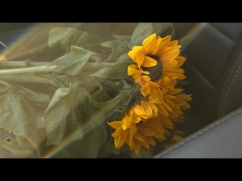 Видео: Плейлист Я смотрю только на тебя.