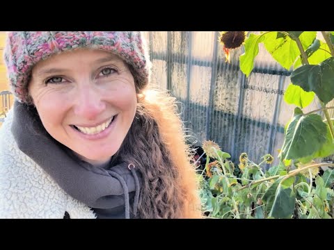 Видео: Что я откладываю сейчас, чтобы дать саду в следующем году преимущество