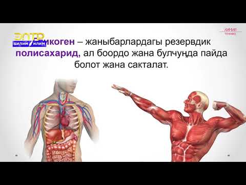 Видео: 10-класс | Химия  | Полисахариддер. Крахмал жана целлюлоза - жаратылыш полимерлери