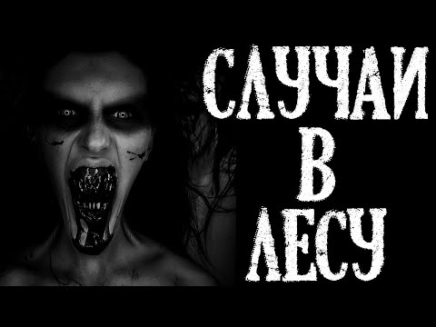 Видео: Случаи в Лесу. Страшные Истории про Лес (3в1)
