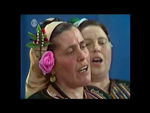 Видео: ЖФГ с. Плана (обл. София) 1973г.