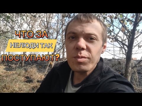 Видео: РЕЗУЛЬТАТ ГЛУПОСТИ ИЛИ ПОЧЕМУ НЕЛЬЗЯ БЕСКОНТРОЛЬНО ЖЕЧЬ СУХУЮ ТРАВУ