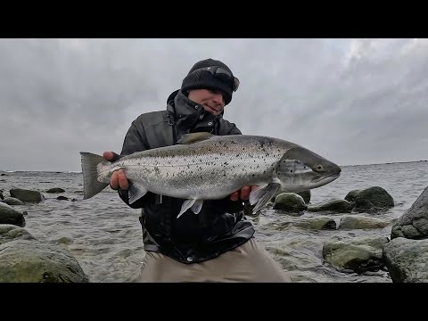 Видео: Холодный день в феврале