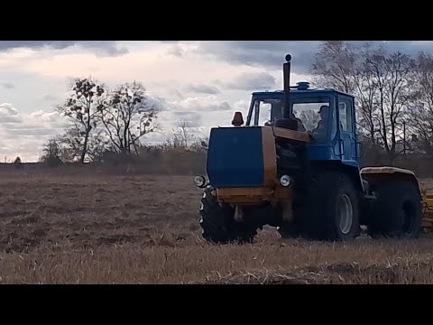 Видео: хТз т-150к