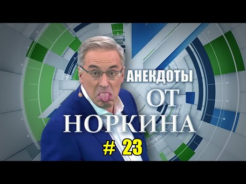 Видео: Новые анекдоты от Норкина. Выпуск 23