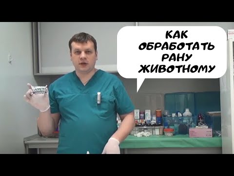 Видео: Как обработать рану животному