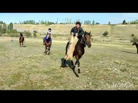 Видео: Кепер-арык айылы келин той