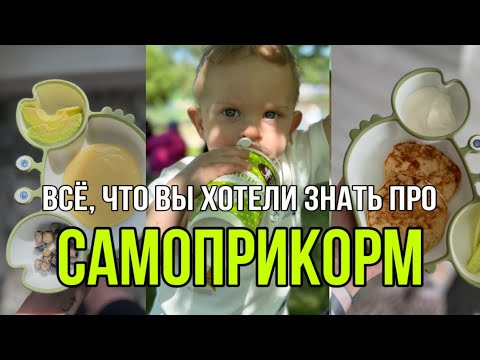 Видео: 26. САМОПРИКОРМ | КОГДА ВВОДИТЬ? | АЛЛЕРГЕНЫ | ЧТО ДЕЛАТЬ, ЧТОБЫ РЕБЁНОК ЕЛ САМ?  #самоприкорм