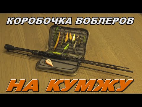 Видео: Коробочка воблеров SSV на кумжу