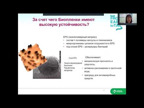 Видео: КРКА: Экоцид  С