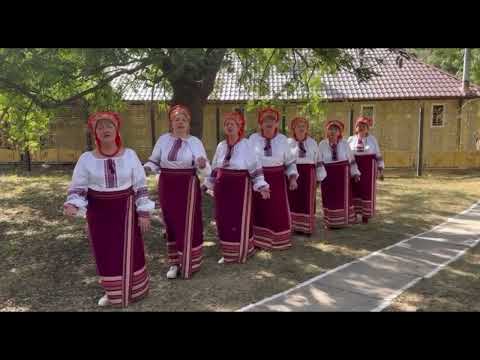 Видео: "Живе село моє" аматорський народний вокальний ансамбль «Всесвятські переспіви»