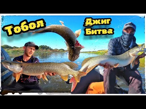 Видео: Джиг на реке Тобол. Щуки 3 плюс на Hearty rise Rock n Force 1.5-14 гр