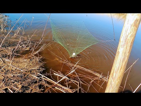 Видео: Рыбалка на ПАУК ПОДЪЁМНИК, открыл сезон рыбалки 2022. Испытываем снегоболотоход в деле.