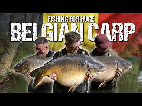 Видео: Дэнни Фэйрбрасс возвращается на Carp Arena! Ловля огромного бельгийского карпа | DF RAW 002 @KordaTV