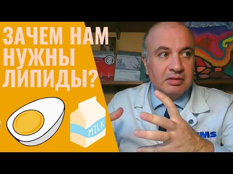 Видео: Всё о ЛИПИДАХ: Зачем нам нужны жиры?