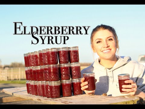 Видео: Бузина: приготовление сиропа и консервирование сока из дикой бузины
