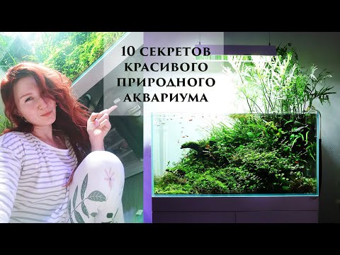 Видео: 10 секретов красивого природного аквариума